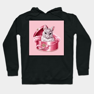 Baby Chinchilla Hoodie